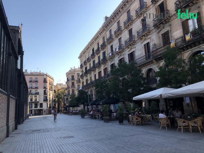 https://www.finquesfeliu.es/TAAFSynch/imagesNW/4705_48_1784569502.jpg